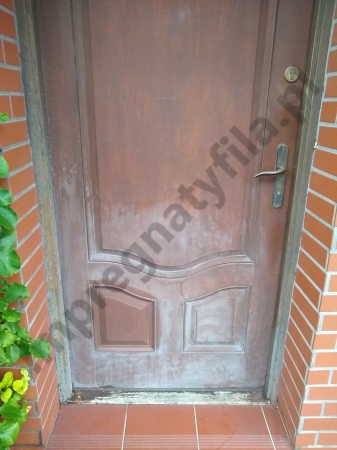 1. STAN PRZED - PRÓBA MYCIA FILA PS/87 PRO