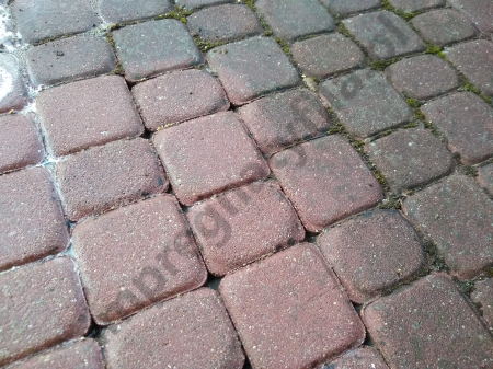 Efekt działania Bellinzoni Alga Kill