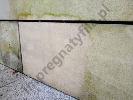Efekt działania Bellinzoni Alga Kill